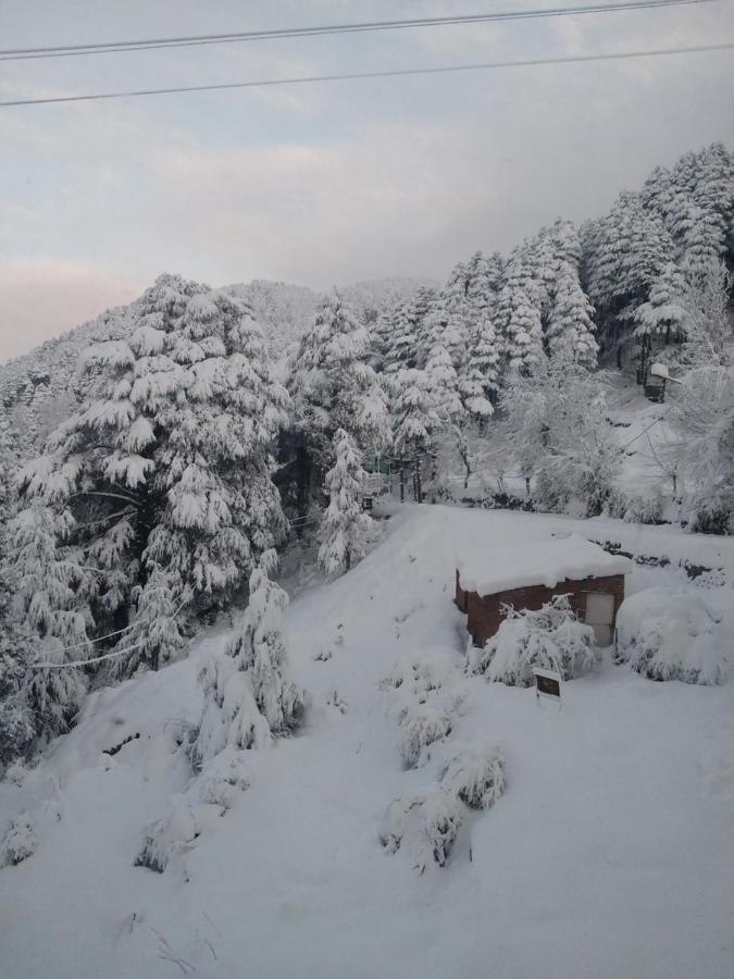 Hotel Green Orchid Udhampur Exterior photo